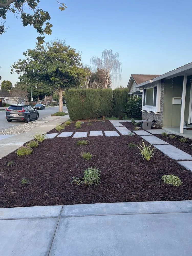 Trusted yard cleanup service for homes in Santa Cruz, CA by Summit Landscape