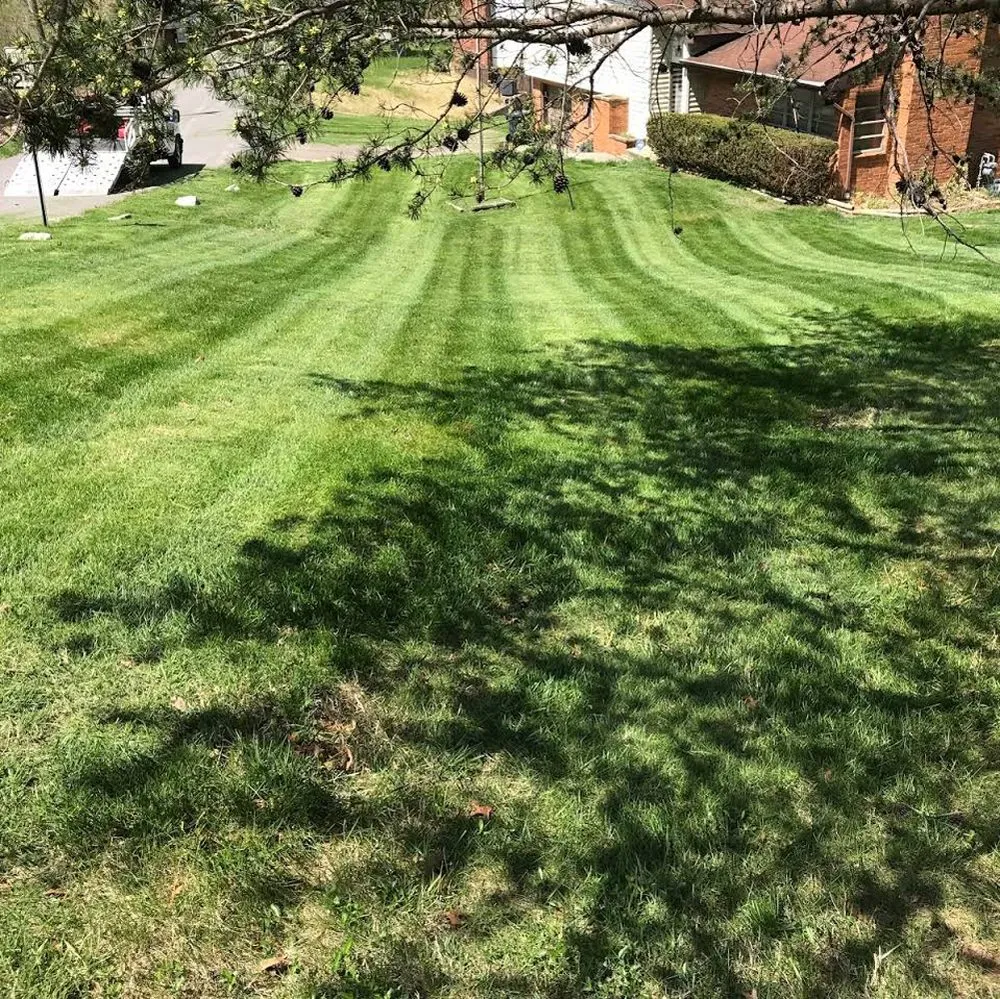 Custom landscape installation for year-round maintenance in Ashland, KY by Summit Landscapes