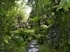 Professional residential landscaping experts serving Cordova, TN - Summit Landscapes