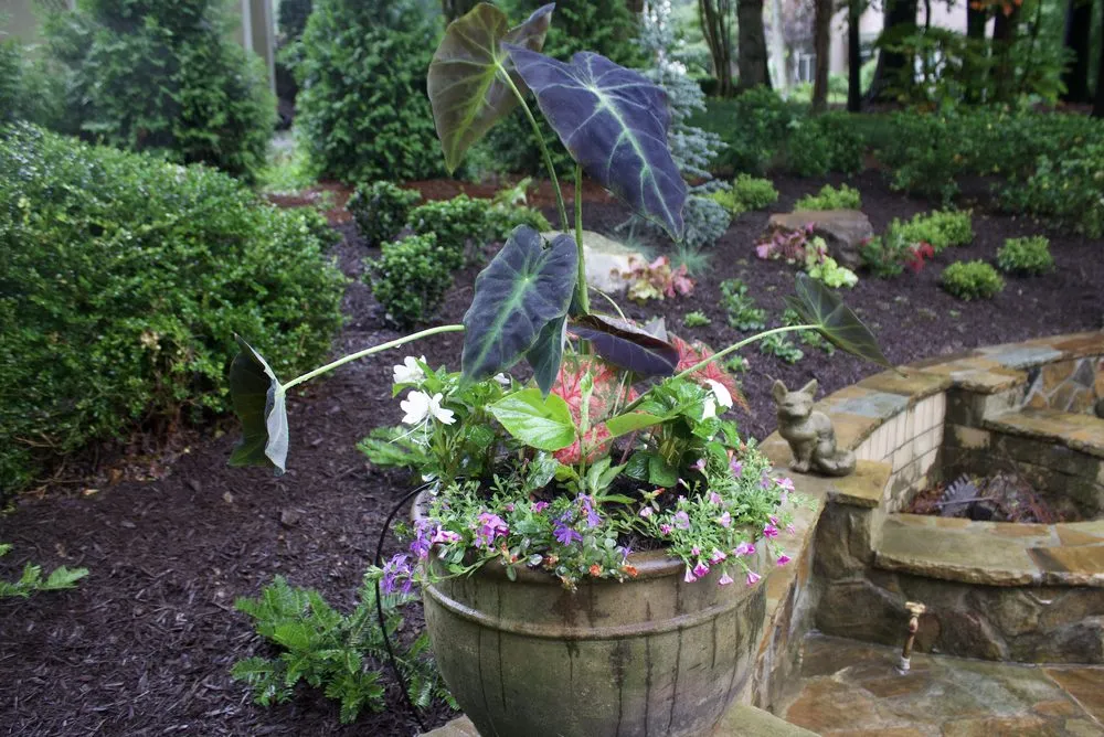 Expert landscape installation for beautiful yards across Atlanta, GA - Summit Landscaping Co