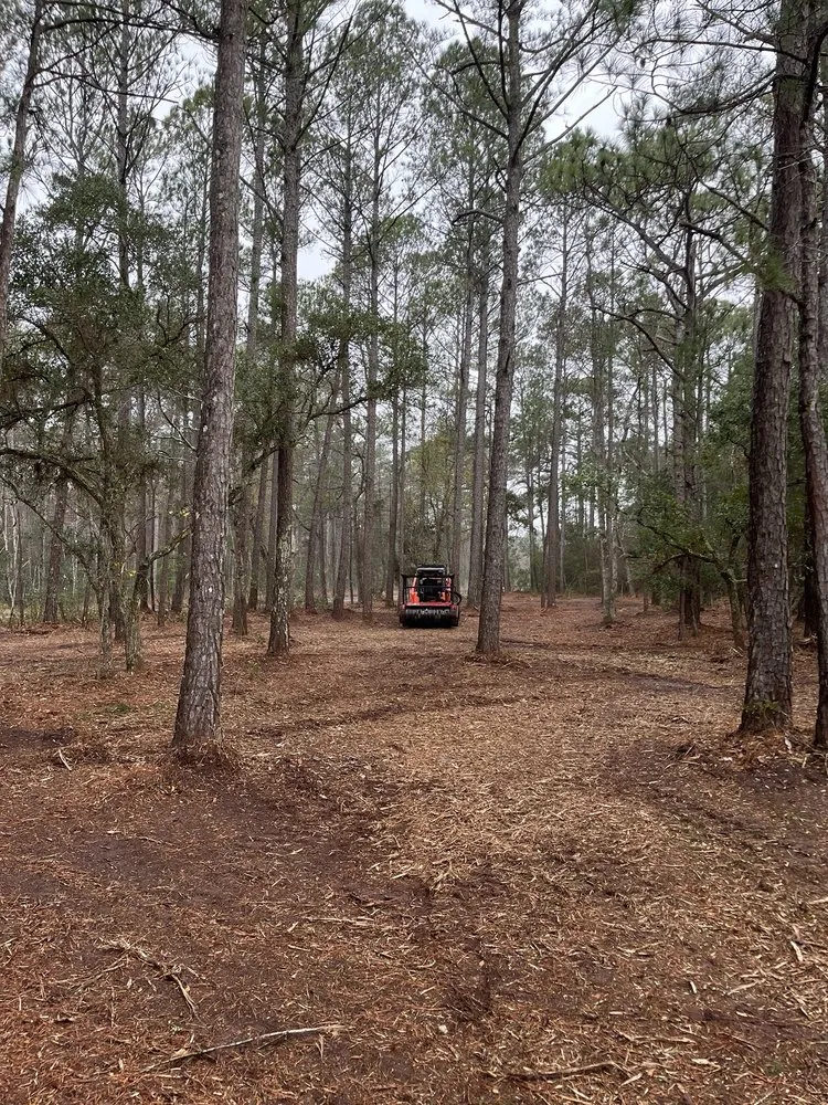 Reliable lawn care service in Hampstead, NC by Summit Landscaping