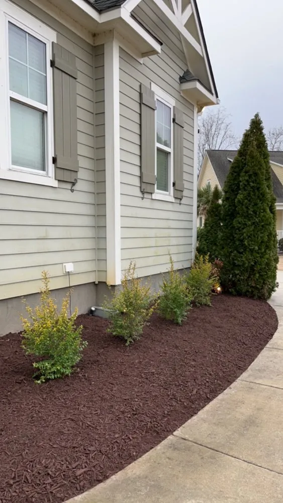 Local landscaping services experts serving Hampstead, NC - Summit Landscaping