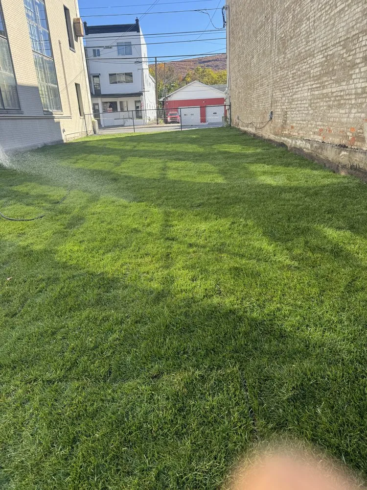 Local yard cleanup service in Scranton, PA - Summit Landscaping