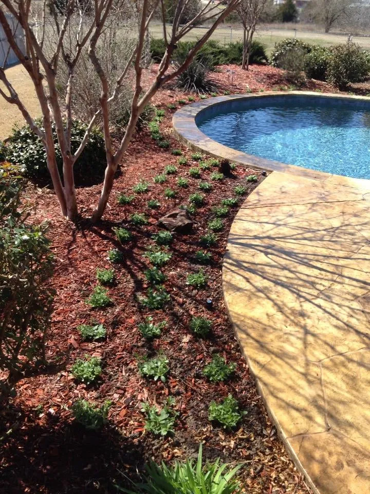 Expert lawn mowing service in Rockwall, TX by Summit Lawn & Landscape