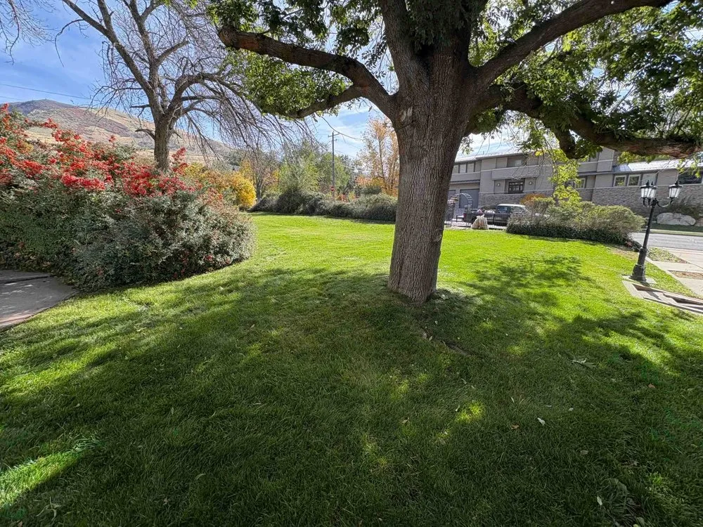 Top-rated yard cleanup service for year-round maintenance in Centerville, UT by Summit Lawn Care