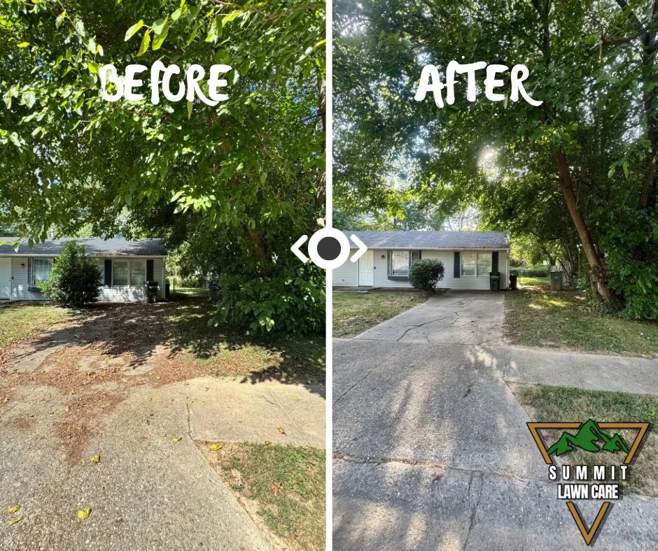 Expert yard cleanup service experts serving Louisville, KY - Summit Lawn Care