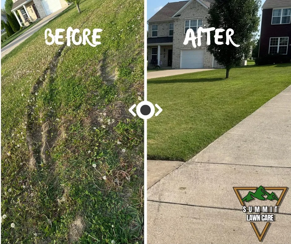 Trusted lawn care service in Louisville, KY by Summit Lawn Care