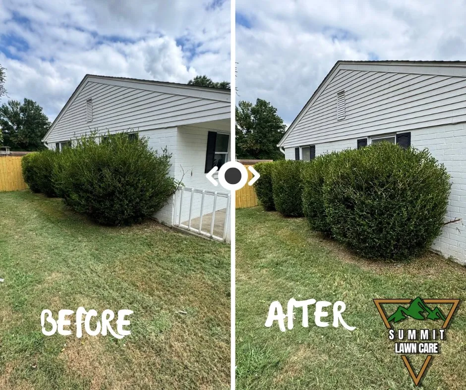 Local residential landscaping for outdoor upgrades in Louisville, KY by Summit Lawn Care