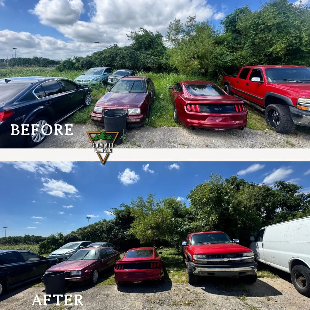 Professional landscape design with custom design across Louisville, KY - Summit Lawn Care