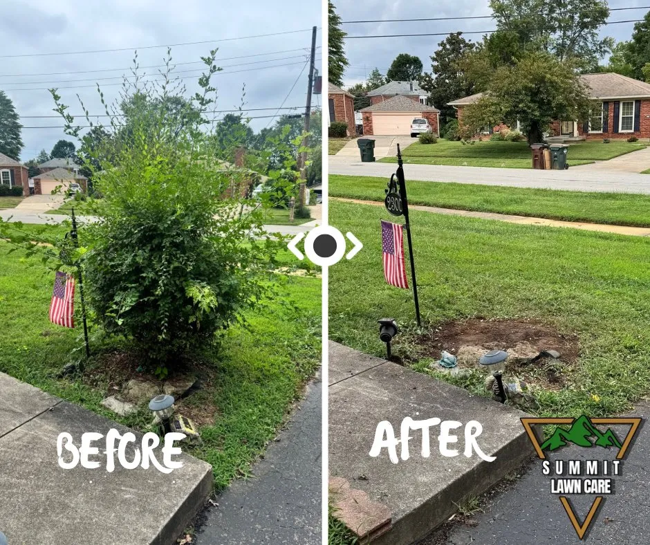 Reliable lawn care service in Louisville, KY - Summit Lawn Care