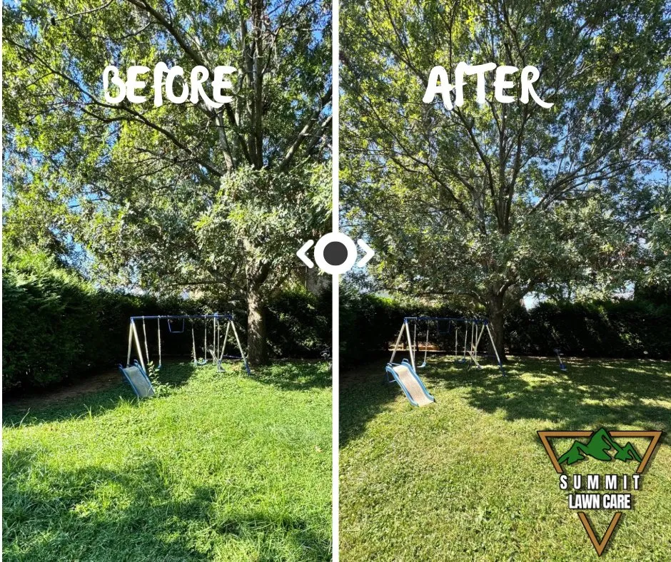 Trusted garden landscaping experts serving Louisville, KY - Summit Lawn Care