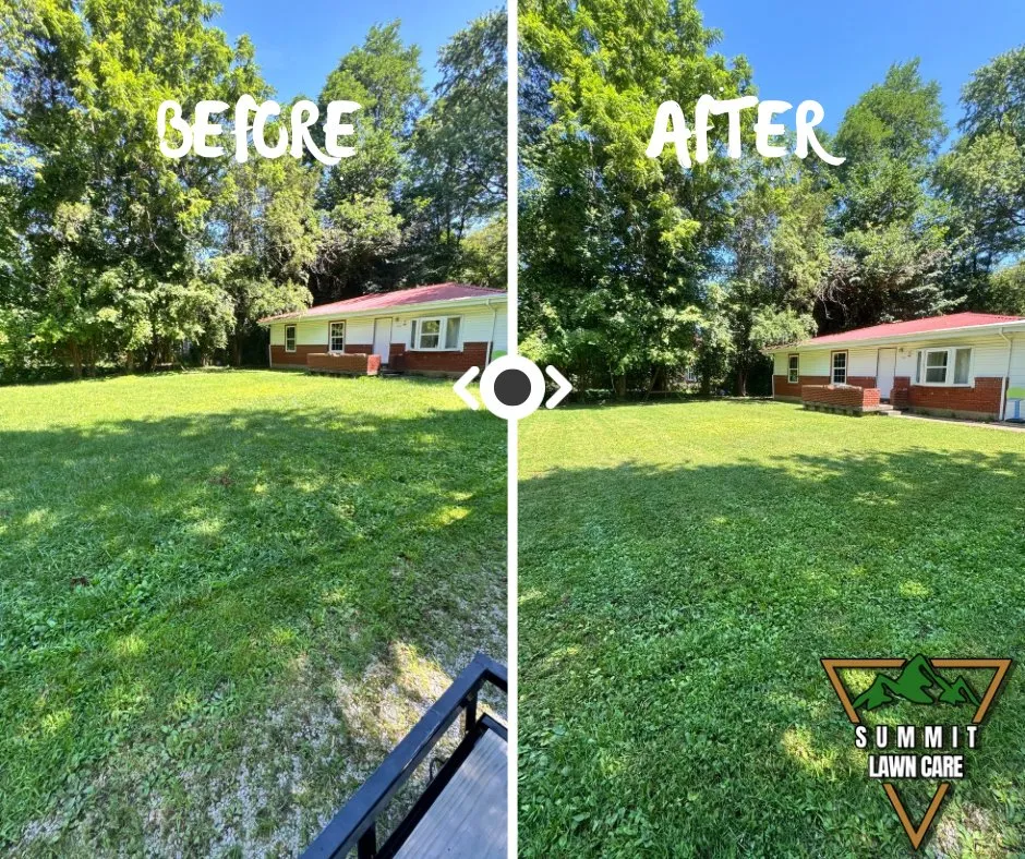 Trusted residential landscaping near you in Louisville, KY by Summit Lawn Care