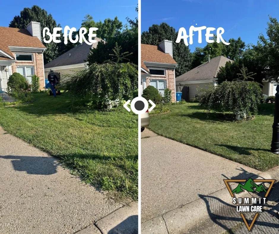 Professional lawn mowing service experts serving Louisville, KY - Summit Lawn Care