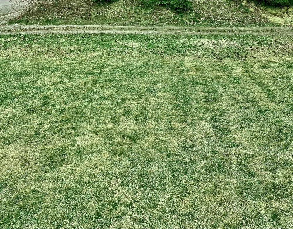 Custom lawn care service for beautiful yards across Wasilla, AK - Summit Lawn Care