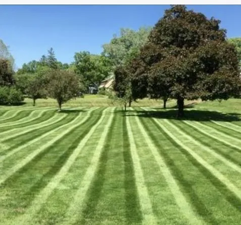 Local residential landscaping experts serving Macedonia, OH - Summit Lawn Maintenance