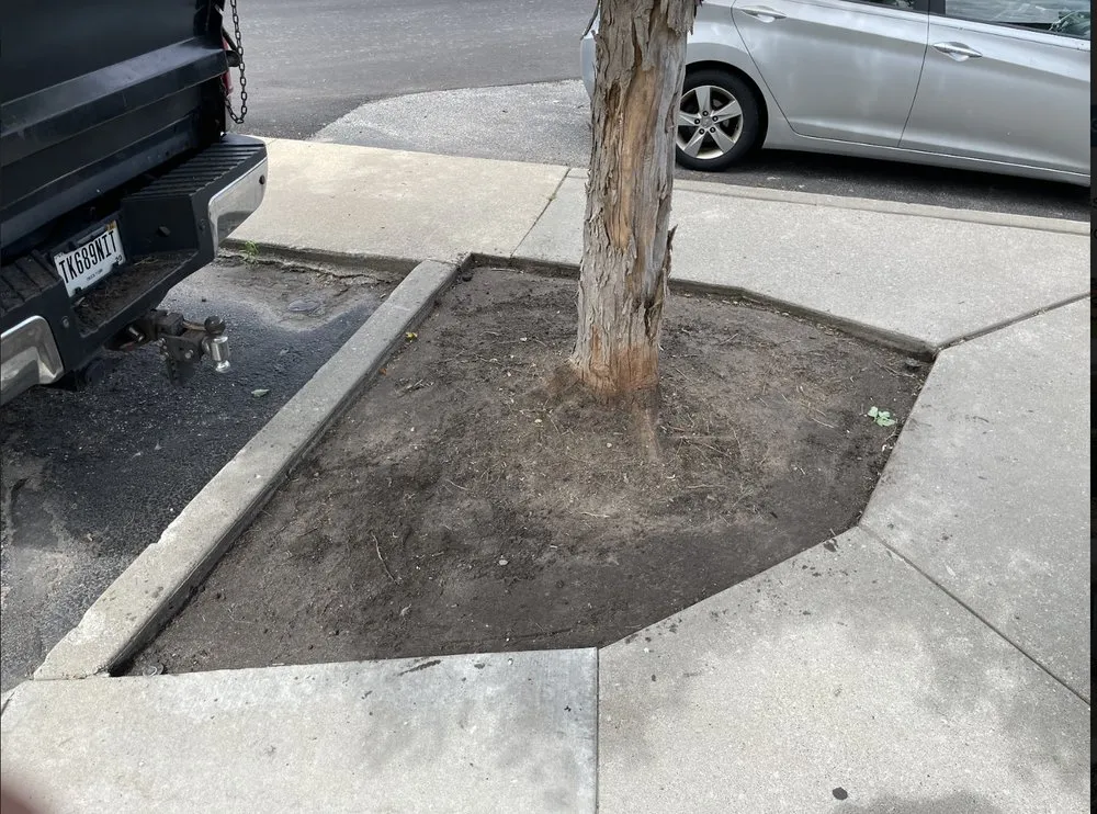 Trusted yard cleanup service experts serving Bristol, IN - Summit Lawn Services