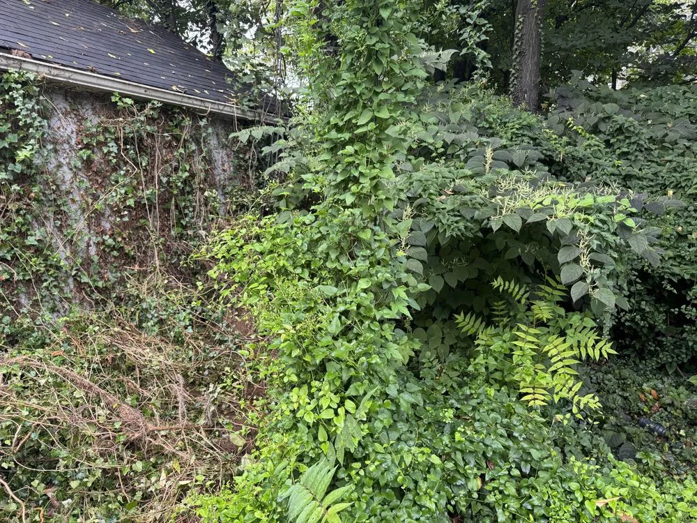 Professional garden landscaping in Akron, OH by Summit Professional Home & Lawn Solutions