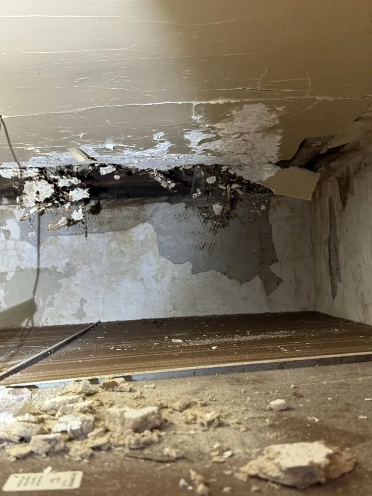 Professional yard maintenance in Akron, OH by Summit Professional Home & Lawn Solutions