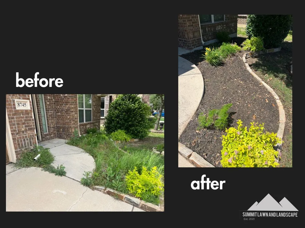 Trusted yard cleanup service in Fort Worth, TX by Summit Services