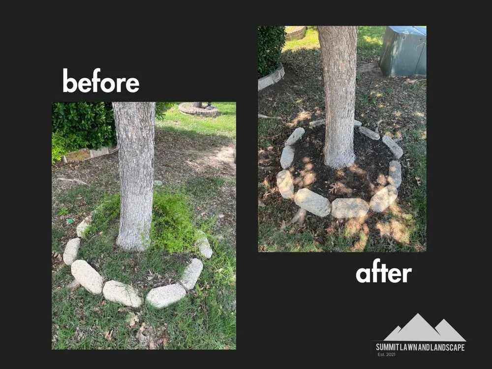 Trusted yard maintenance for beautiful yards in Fort Worth, TX by Summit Services