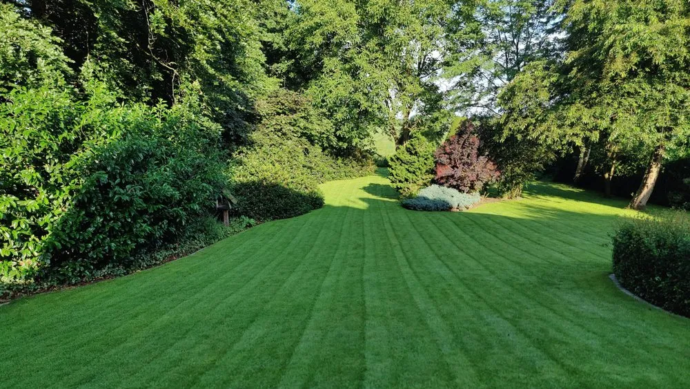 Expert yard maintenance for beautiful yards across Highlands Ranch, CO - Summit View Landscaping Services