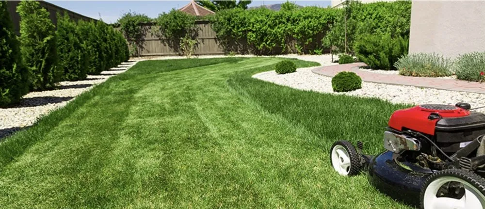Affordable landscaping services near you in Highlands Ranch, CO by Summit View Landscaping Services