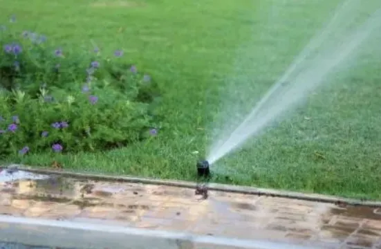 Trusted yard maintenance for beautiful yards in Highlands Ranch, CO by Summit View Landscaping Services