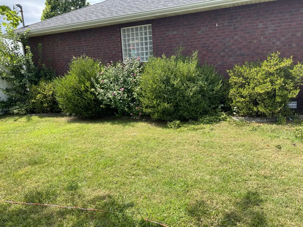 Local landscape design for outdoor upgrades in Shepherdsville, KY by Summitt lawncare