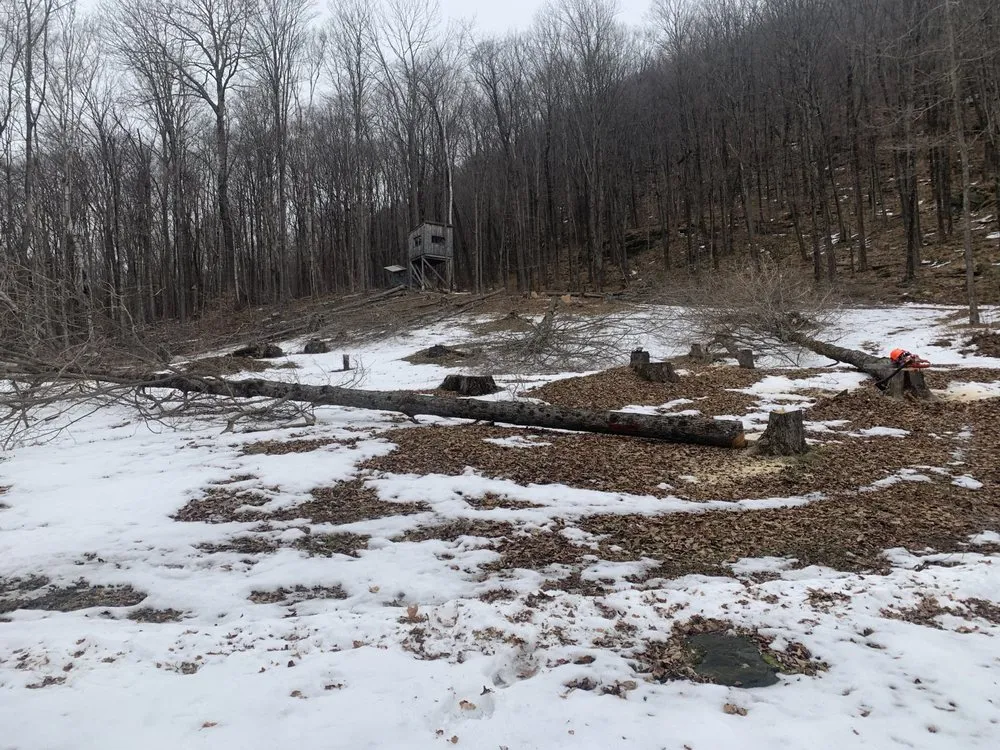 Reliable garden landscaping experts serving Pawlet, VT - Sumner’s Property Maintenance