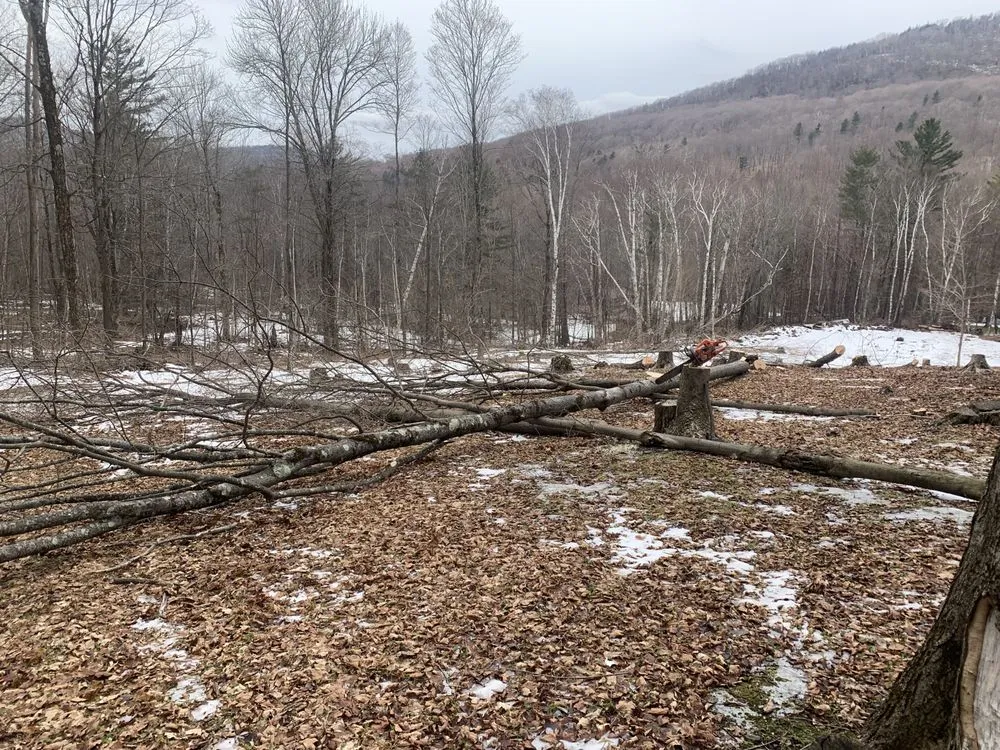 Trusted yard maintenance in Pawlet, VT - Sumner’s Property Maintenance