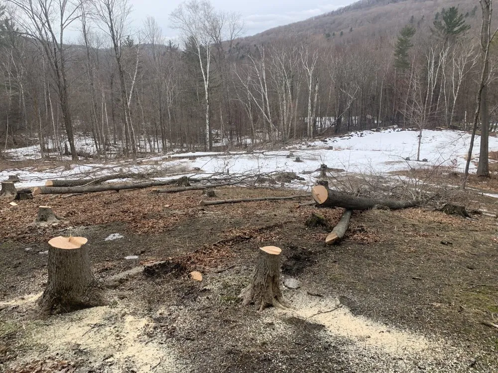 Affordable landscape installation experts serving Pawlet, VT - Sumner’s Property Maintenance