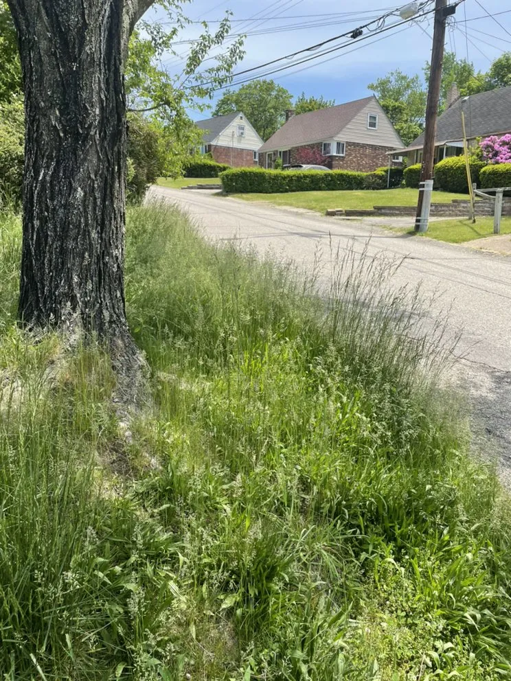 Custom yard maintenance for outdoor upgrades in Pittsburgh, PA by Sumpter & Garrett