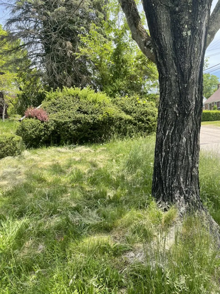 Professional landscape installation experts serving Pittsburgh, PA - Sumpter & Garrett