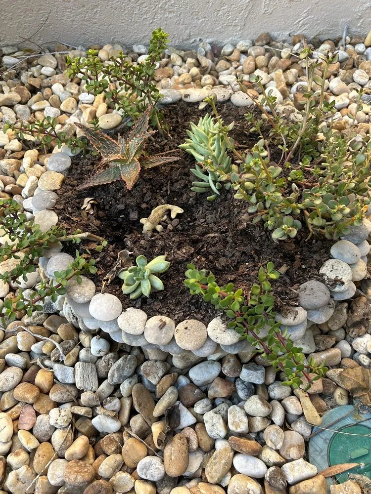 Top-rated garden landscaping in Wildwood, FL - Sumter Scapes