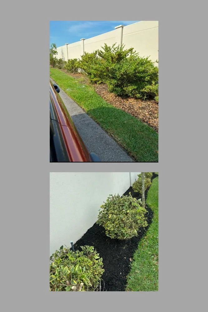Professional outdoor landscaping near you across Wildwood, FL - Sumter Scapes