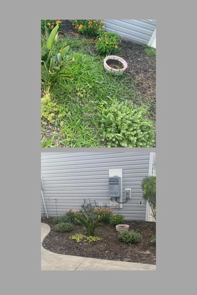 Expert lawn care service for outdoor upgrades in Wildwood, FL by Sumter Scapes