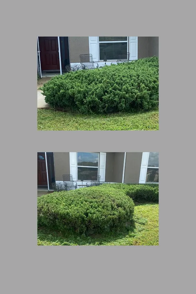 Trusted landscape installation in Wildwood, FL by Sumter Scapes