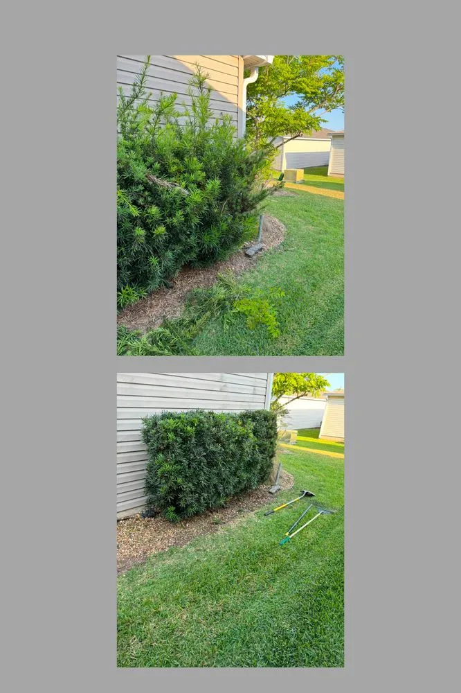 Affordable landscaping services near you across Wildwood, FL - Sumter Scapes