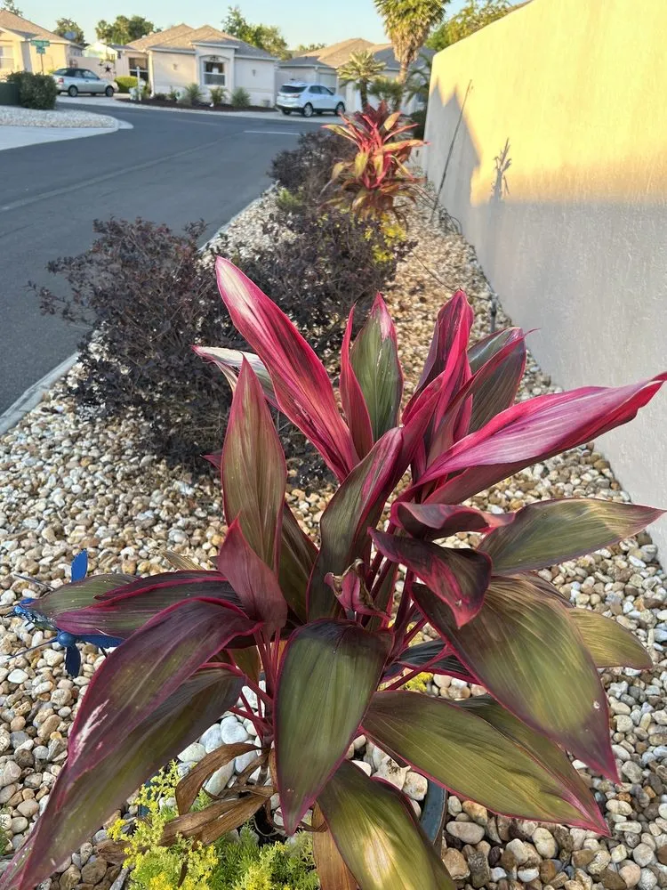 Trusted residential landscaping in Wildwood, FL by Sumter Scapes