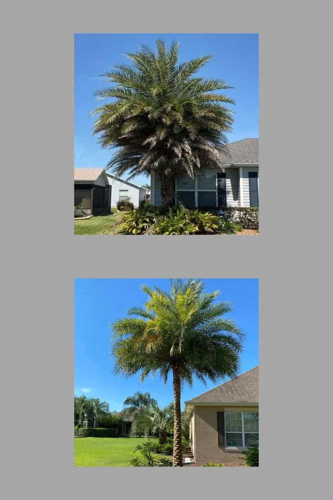 Trusted garden landscaping in Wildwood, FL - Sumter Scapes