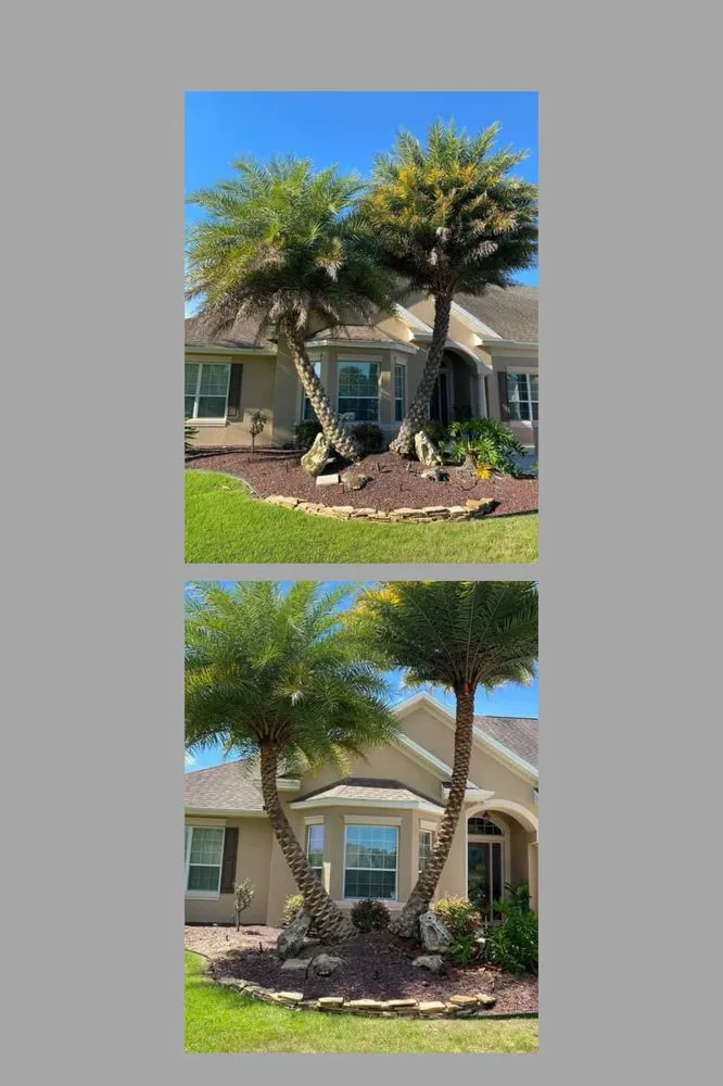 Top-rated garden landscaping in Wildwood, FL by Sumter Scapes