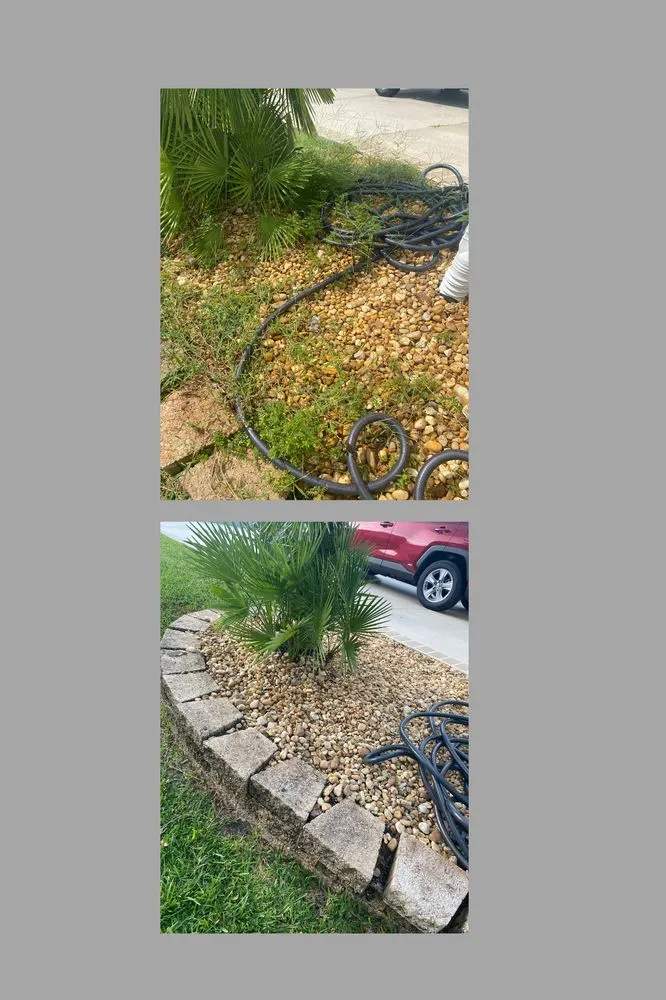 Custom landscape installation for outdoor upgrades across Wildwood, FL - Sumter Scapes