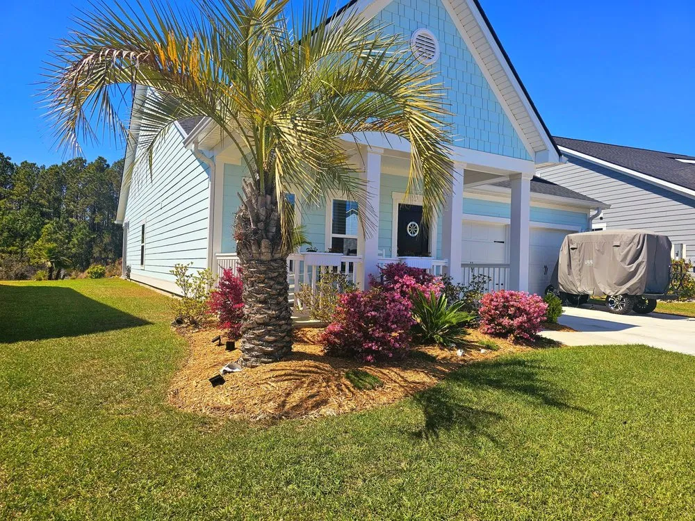 Trusted lawn care service in Myrtle Beach, SC - Sun & Palms