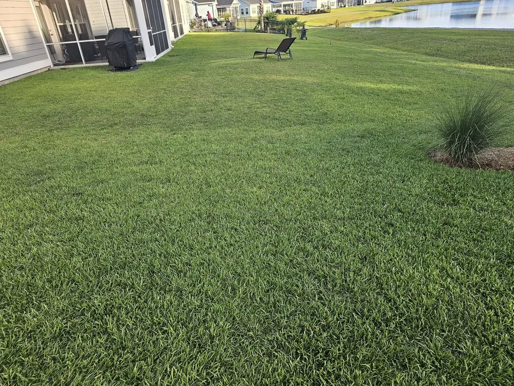 Affordable lawn care service in Myrtle Beach, SC by Sun & Palms