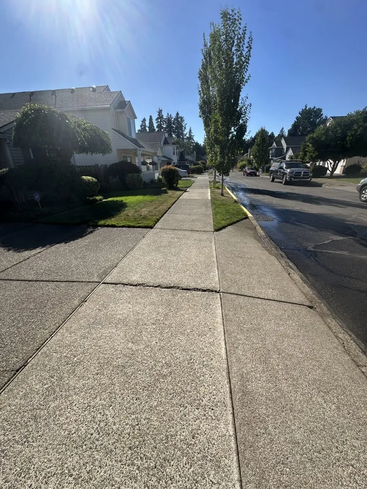 Professional landscape installation in Damascus, OR by Sun & Water Landscape Maintenance