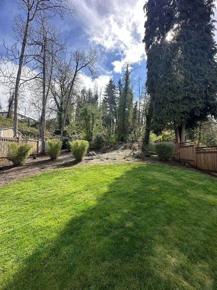 Affordable yard maintenance near you across Damascus, OR - Sun & Water Landscape Maintenance