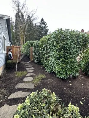 Sun & Water Landscape Maintenance