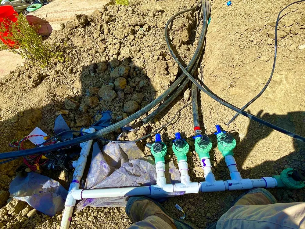 Custom lawn care service near you across Denver, CO - Sun Age Landscape and Concrete