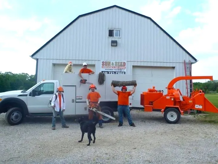 Professional yard maintenance in Medina, OH - Sun and Seed Tree