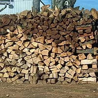 Trusted landscape design experts serving Medina, OH - Sun and Seed Tree